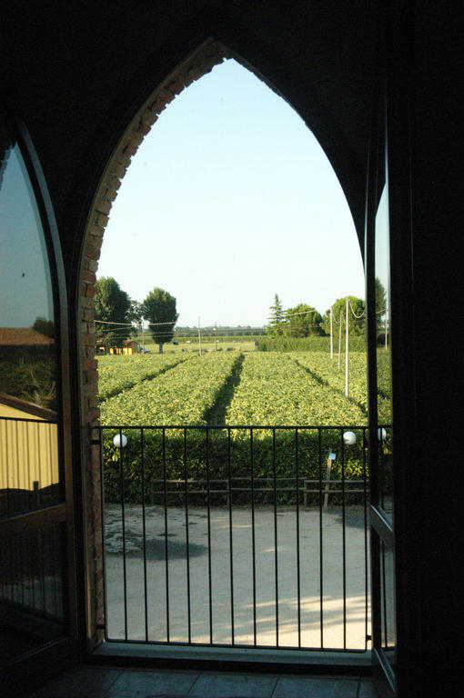 Locanda Merlaschio Faenza Szoba fotó