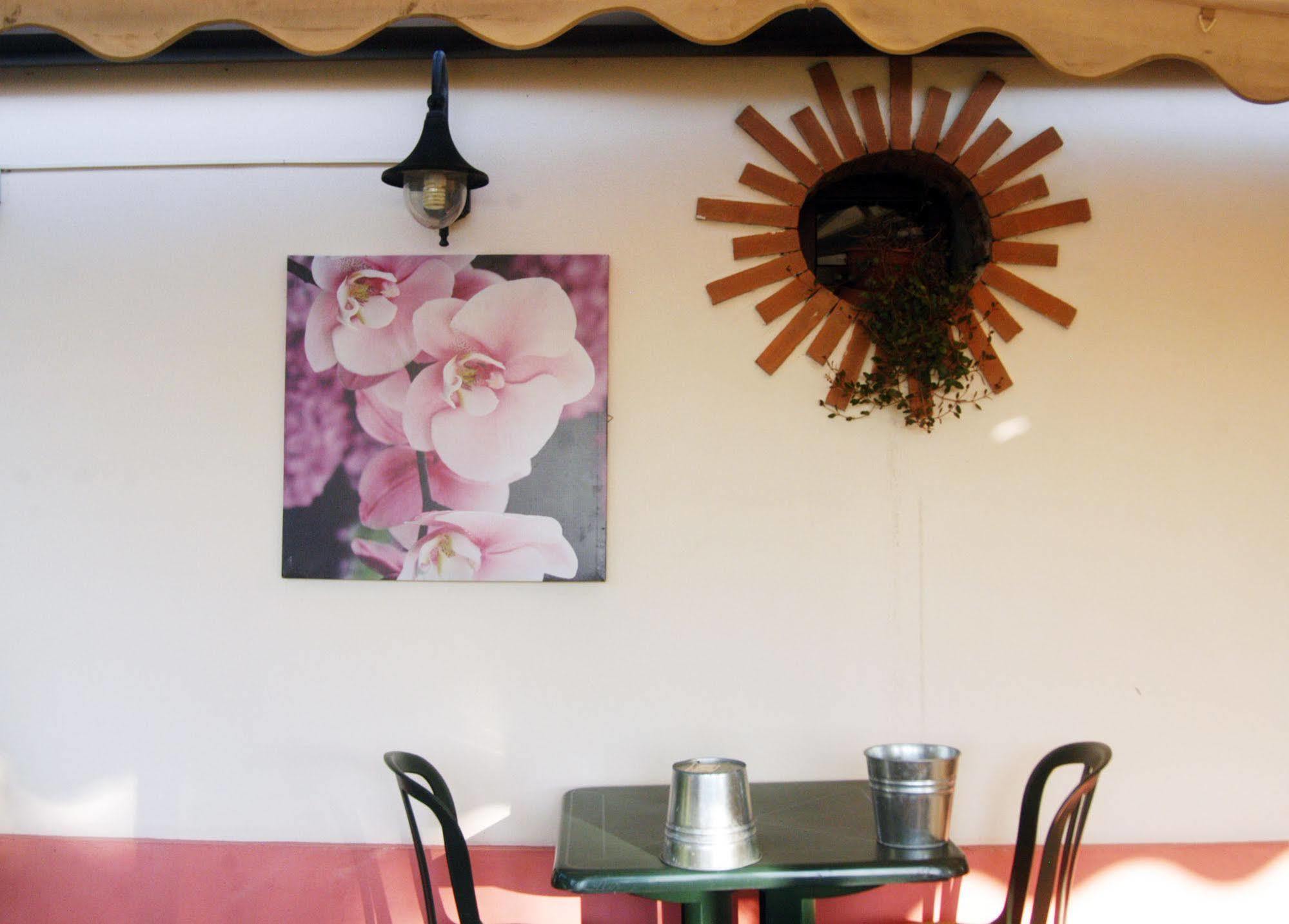 Locanda Merlaschio Faenza Kültér fotó